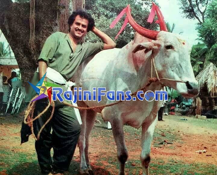 Dharmadurai (1991) photo 7