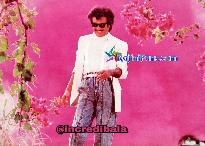 Raja Chinna Roja (1989) photo 11